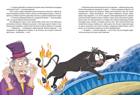 Corsair, or a Fluffy Tale with Claws