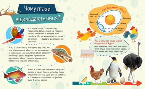 Perché sei così carino? Animali