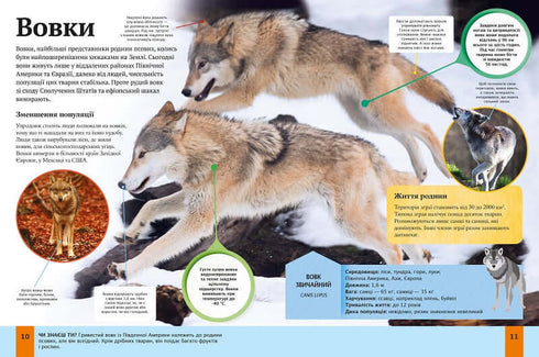 Enciclopedia degli animali per bambini