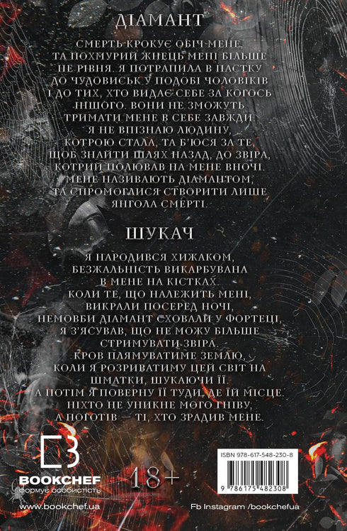 Un gioco del gatto e del topo. Libro 2: La caccia ad Adelina