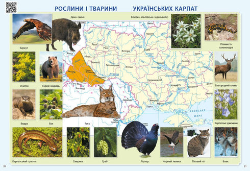 Esploro il mondo. 3a elementare. Atlante - 9786170962454