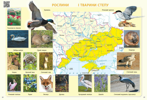 Esploro il mondo. 3a elementare. Atlante - 9786170962454