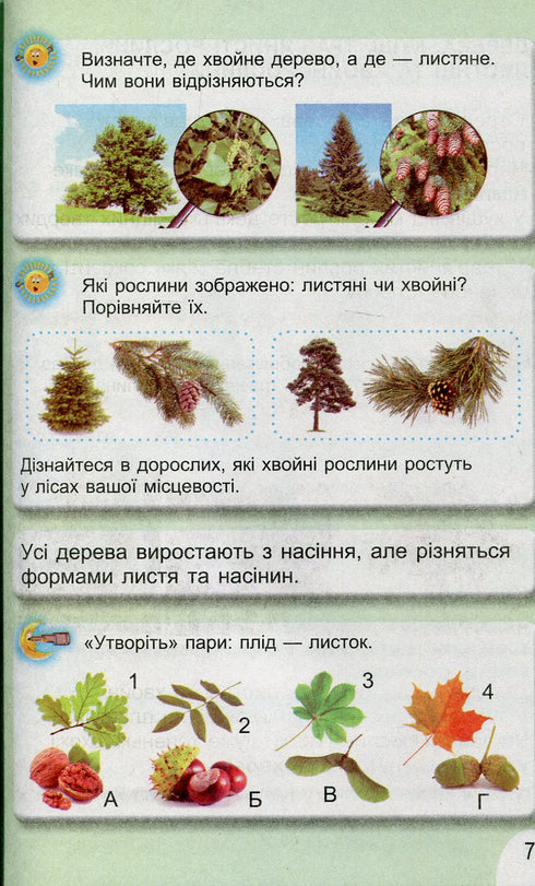 Esploro il mondo. Libro di testo 1a elementare cap2 2023 (NUSH) - 9789661109246