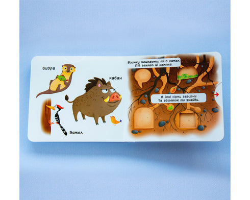 Animali della foresta. Scopri, gioca, gira, spingi - 9789669367525