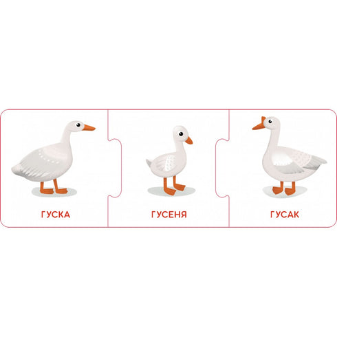 Логічні ланцюжки. Малюки тварини та їхні родини