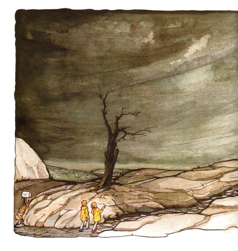 Libro magico di anatomia