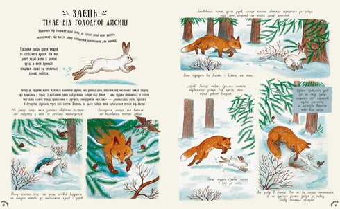 Piccoli miracoli della natura - 9786170985606