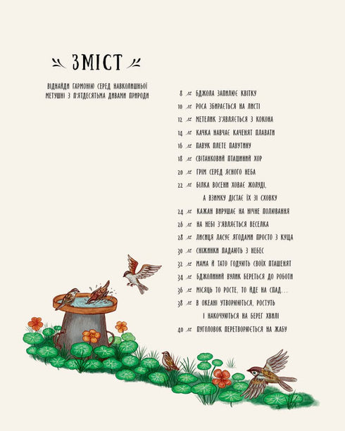 Piccoli miracoli della natura - 9786170985606