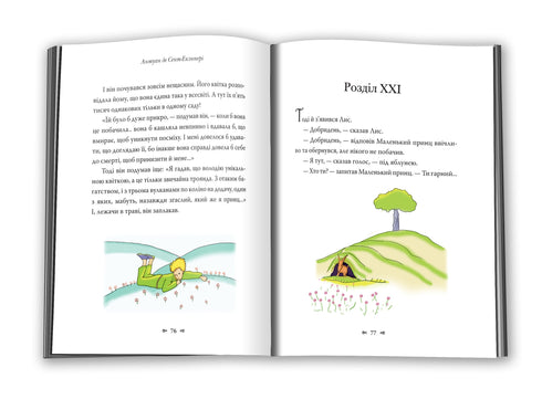 Il piccolo principe - 9786177409440