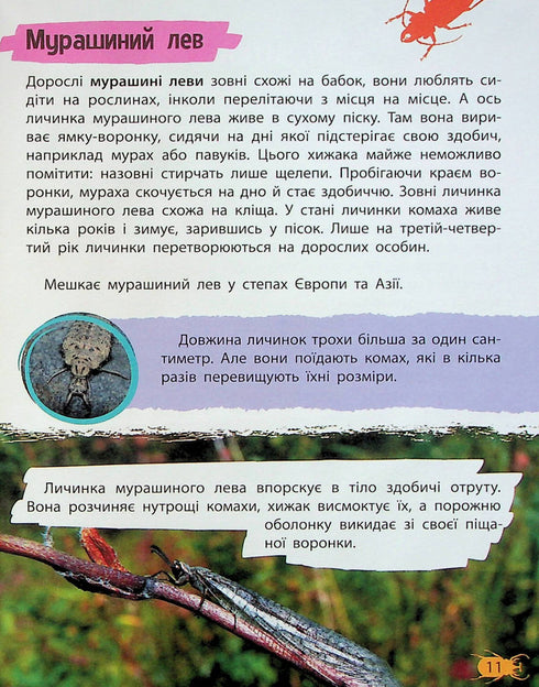 Minienciclopedia. Insetti e ragni