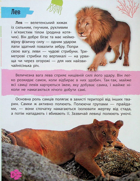 Minienciclopedia. Mondo animale