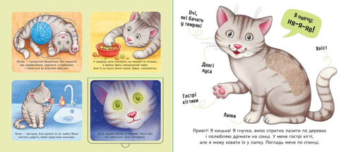 Мої улюбленці