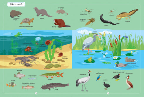 Il miglior dizionario degli animali