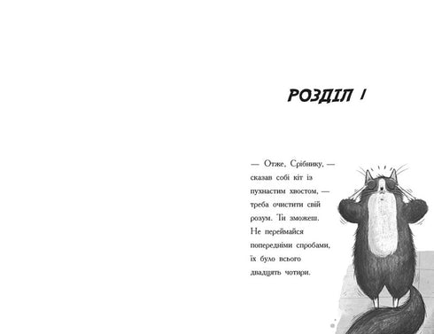 Toto. Il gatto ninja e il caso del furto di formaggio. Libro 2