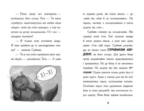 Toto. Il gatto ninja e il caso del furto di formaggio. Libro 2