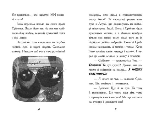 Toto. Il gatto ninja e la grande fuga del serpente. Libro 1