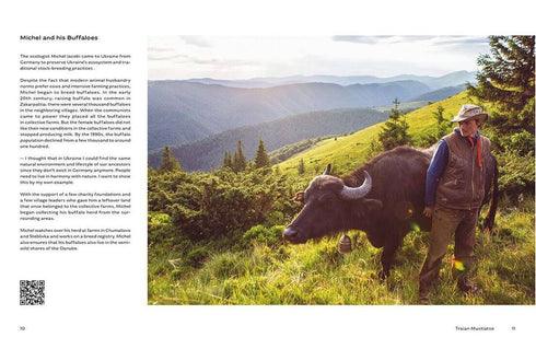 Ucraino. Insider ucraino