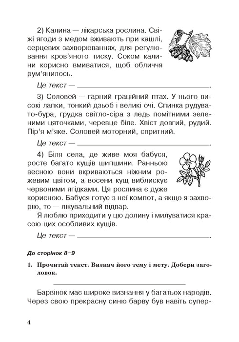 Lingua ucraina. 3° classe. Quaderno di lavoro (per il manuale di Вашуленко, Васильківська, Дубовик) NUS