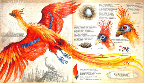 Harry Potter and the Chamber of Secrets. Large Illustrated Edition. Book 2 (Ukrainian Edition)