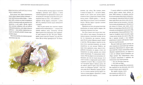Harry Potter and the Philosopher's Stone, large illustrated edition. Book 1 (Ukrainian Edition)