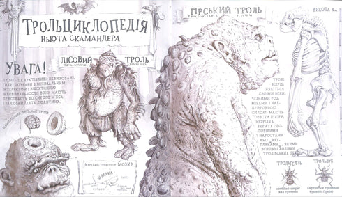 Harry Potter and the Philosopher's Stone, large illustrated edition. Book 1 (Ukrainian Edition)