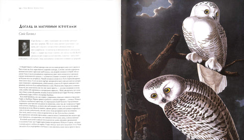 Harry Potter. Storia della magia