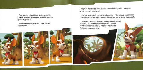 Incontra il Cercatore