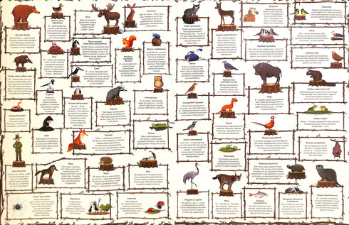 A year in the forest