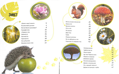 Il mondo e i suoi misteri: La vita della foresta