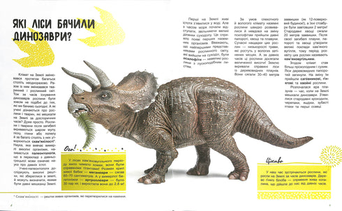 Il mondo e i suoi misteri: La vita della foresta