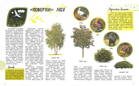 Il mondo e i suoi misteri: La vita della foresta