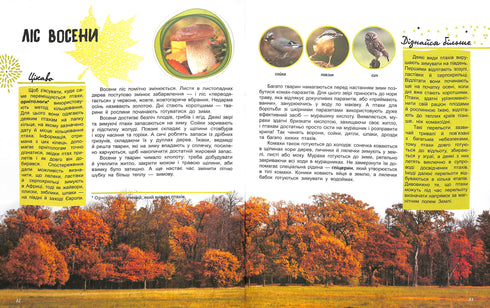 Il mondo e i suoi misteri: La vita della foresta