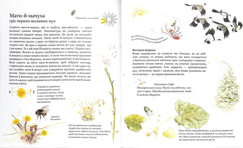 Expedition with Ant Sophie. Exploring the nature around us.