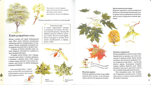 Expedition with Ant Sophie. Exploring the nature around us.