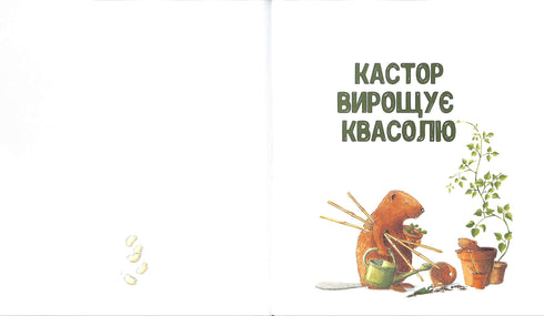 Kastor è un maestro in tutto: parla di strumenti e insegna come usarli. 7 storie in 1 libro