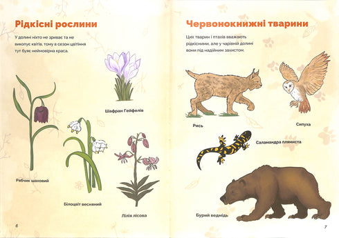 Il Natale e il mistero della valle incantata