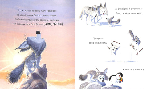 Il lupo sta cercando una via per il branco