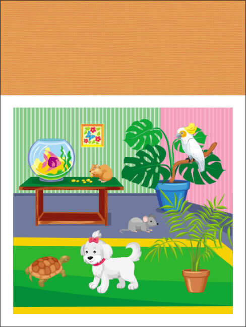 Applicazioni. Livello 1. Taglio di quadrati, rettangoli