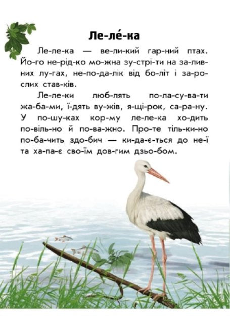 Моя Україна. Читаємо по складах: Тваринний світ лугів і степів