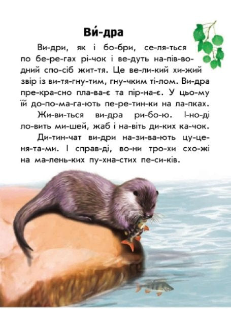 Моя Україна. Читаємо по складах: Тваринний світ річок і морів