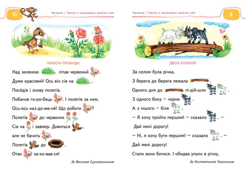 Un libro per leggere e sviluppare un discorso coerente