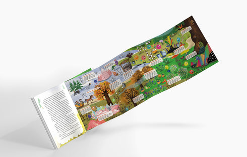 Il Natale e il mistero della valle incantata