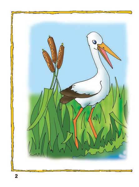 Impariamo a contare. Matematica #2