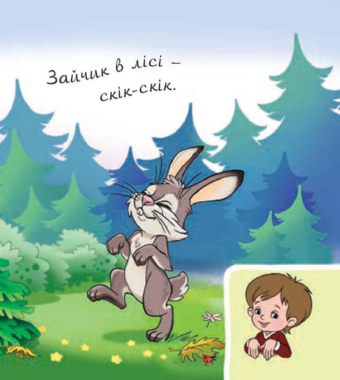 Animals in the forest